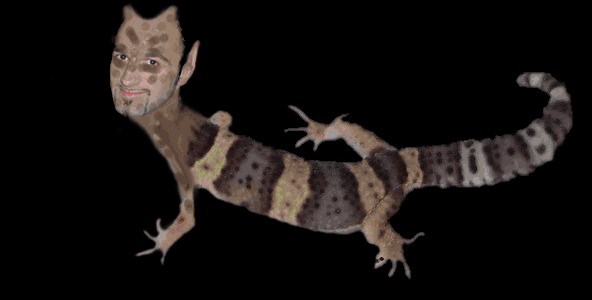 Emma said that if I weighed 62kg I would look like a gecko....